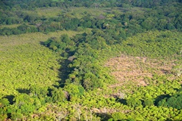 July 22—Researchers Warn About Misuse of Offsets for Biodiversity Damage